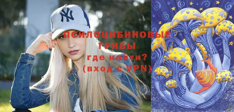 Псилоцибиновые грибы Magic Shrooms  Ковров 